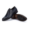 Blucher Navy Martinelli
